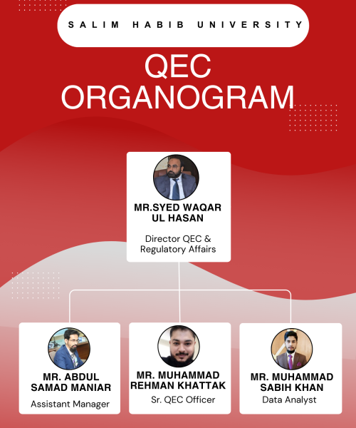 red and white modern organisational structure a3